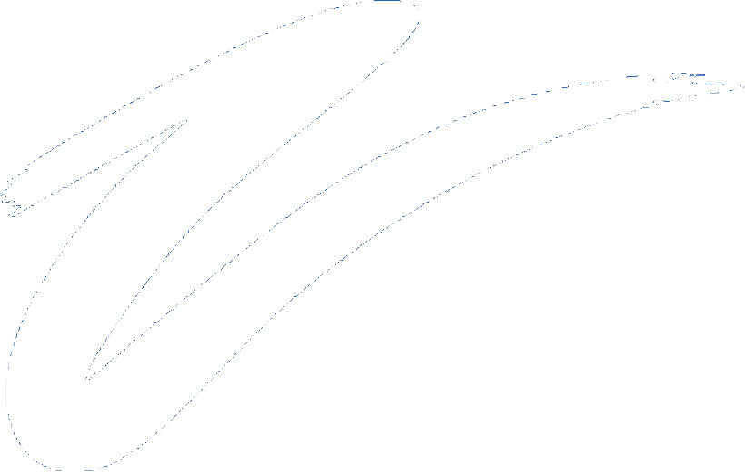 וידיס שירותי ניהול בעמ - לוגו